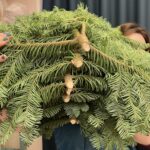 Банч нобилиса 5 кг датской пихты — изображение 5